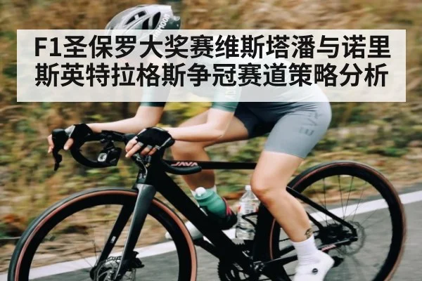 F1圣保罗大奖赛维斯塔潘与诺里斯英特拉格斯争冠赛道策略分析